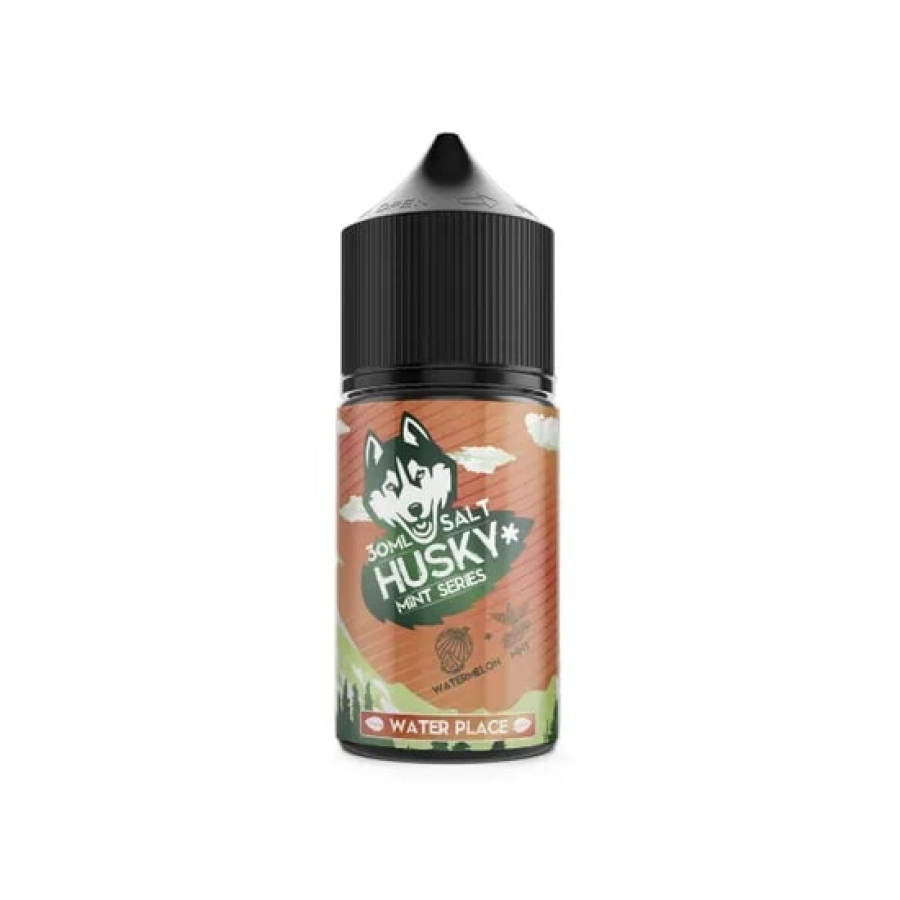 Жидкость Husky salt Mint series Water Place (Арбуз холодок) (30 мл, 20 мг/мл)